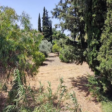 Callas Residence Ialysos  Dış mekan fotoğraf