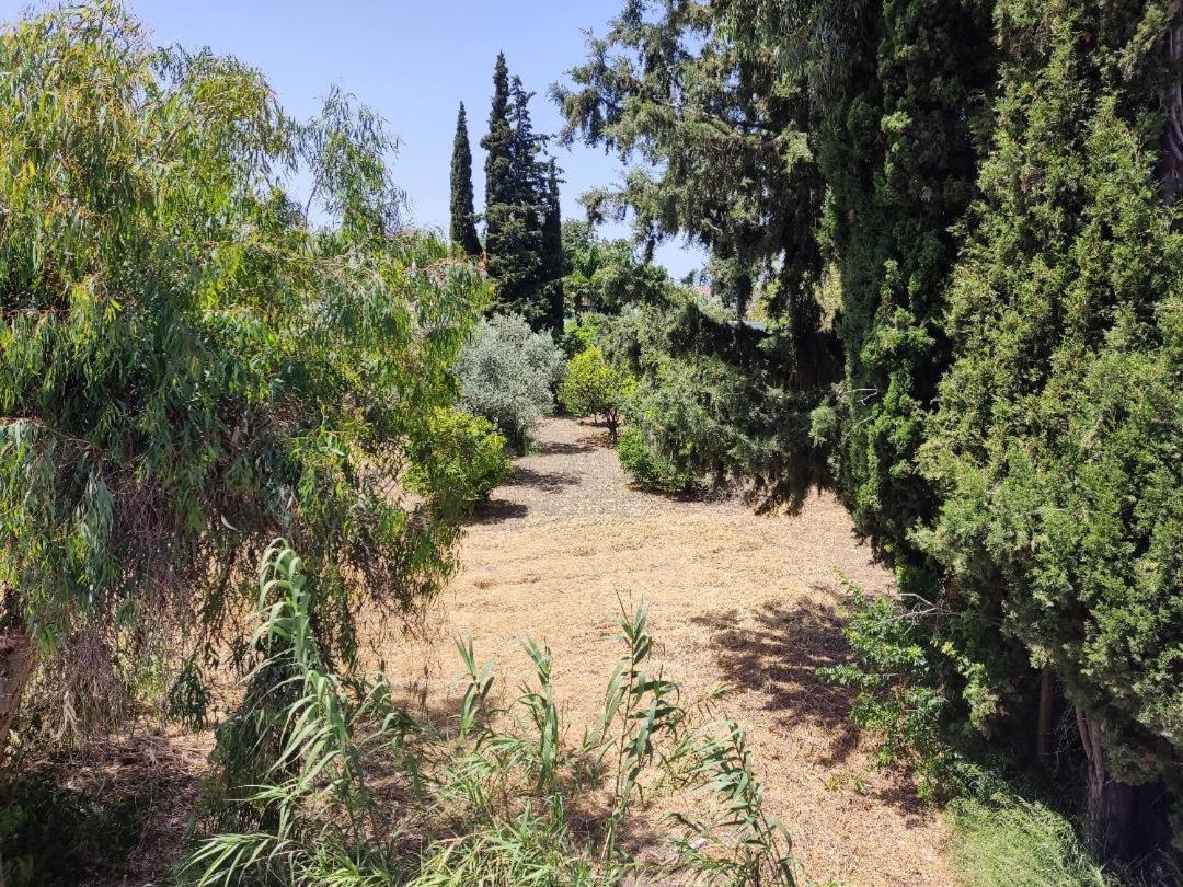 Callas Residence Ialysos  Dış mekan fotoğraf