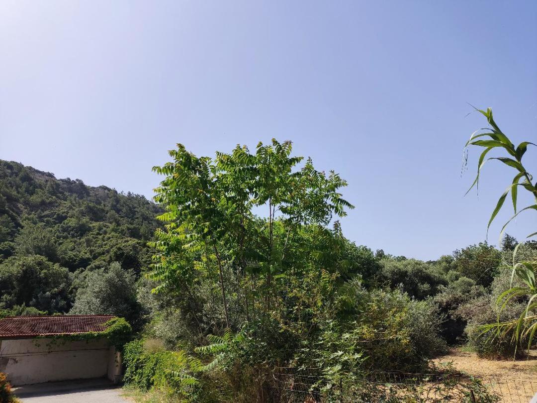 Callas Residence Ialysos  Dış mekan fotoğraf